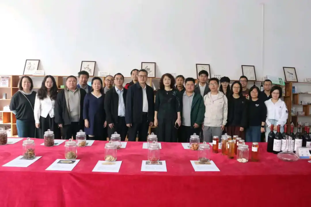 茶垄藏珍！解锁“茶—菇”共生密码，让茶园实现“一地两收”