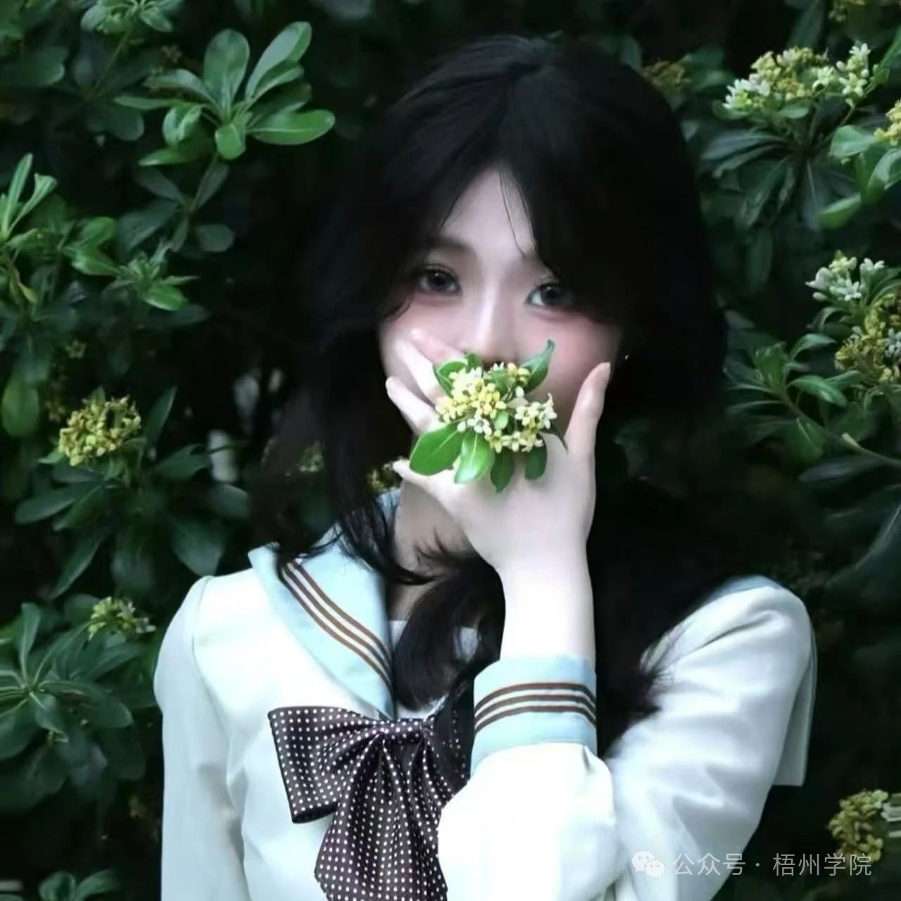 别拦我！我要去梧院开启“指尖生花”美学之旅