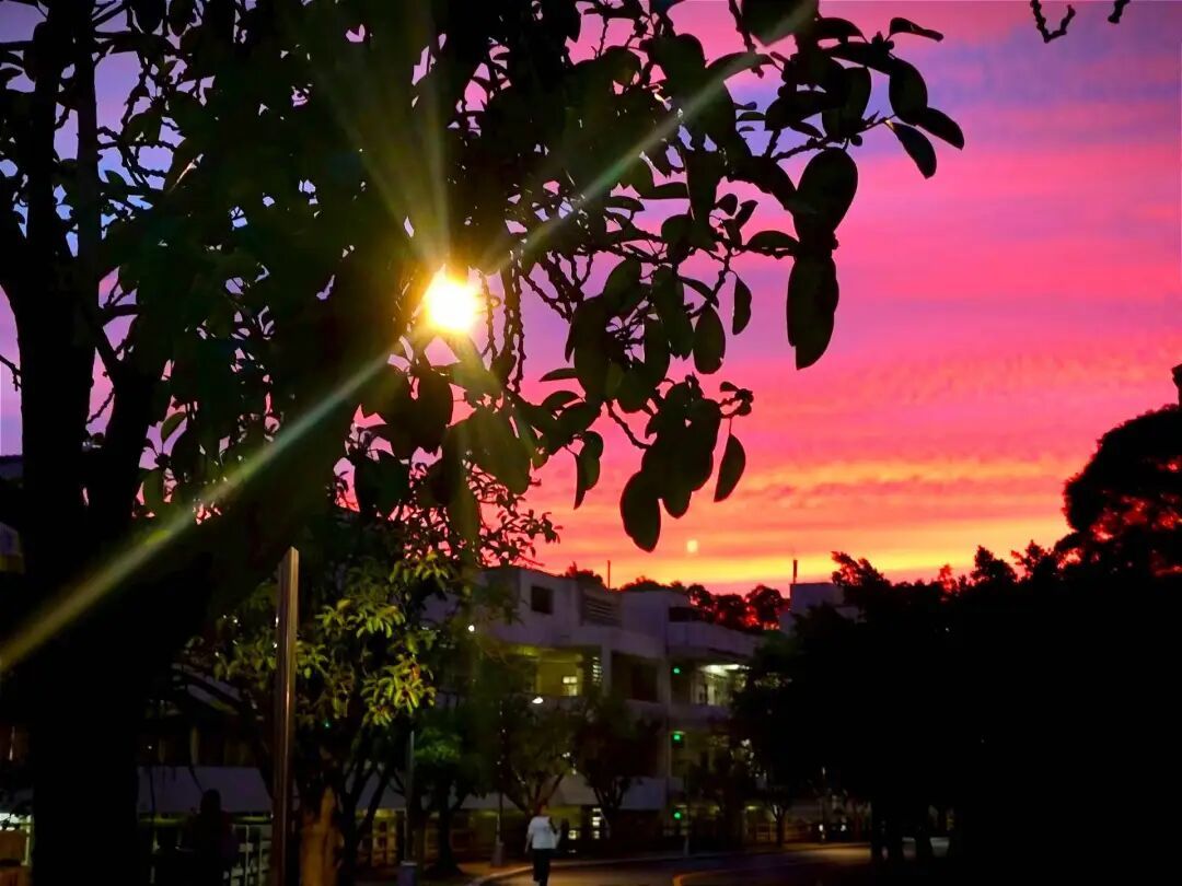 岁至冬至，暖在校园