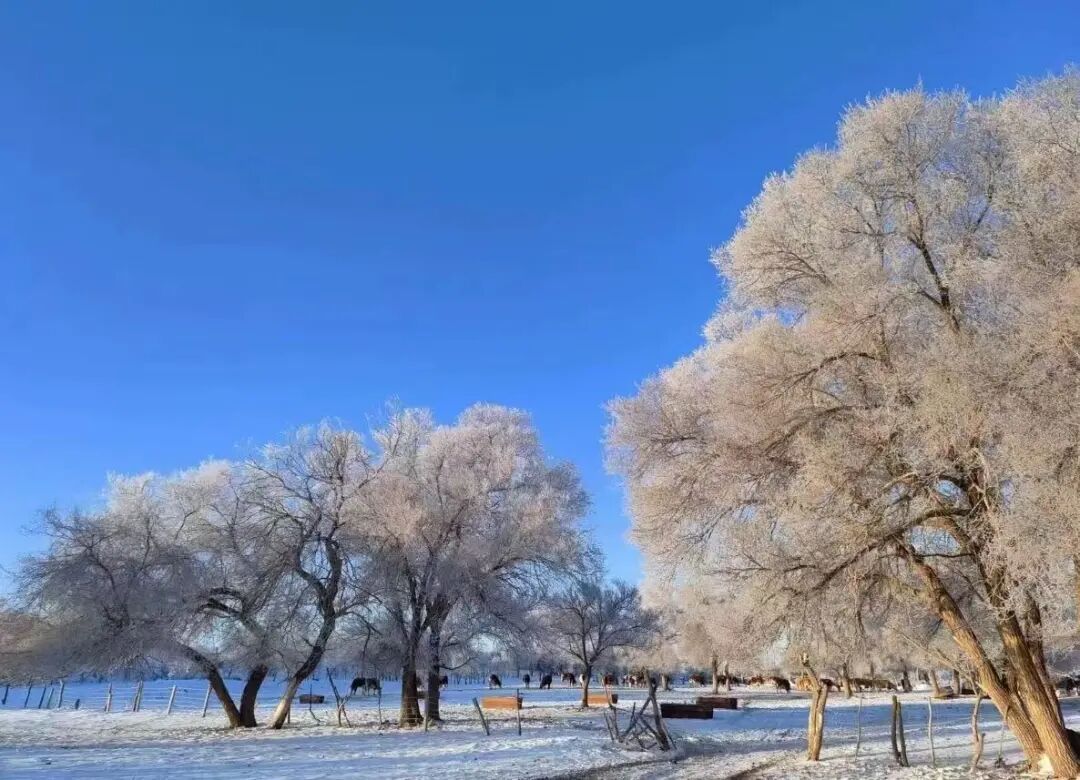 辞家千里又千里……