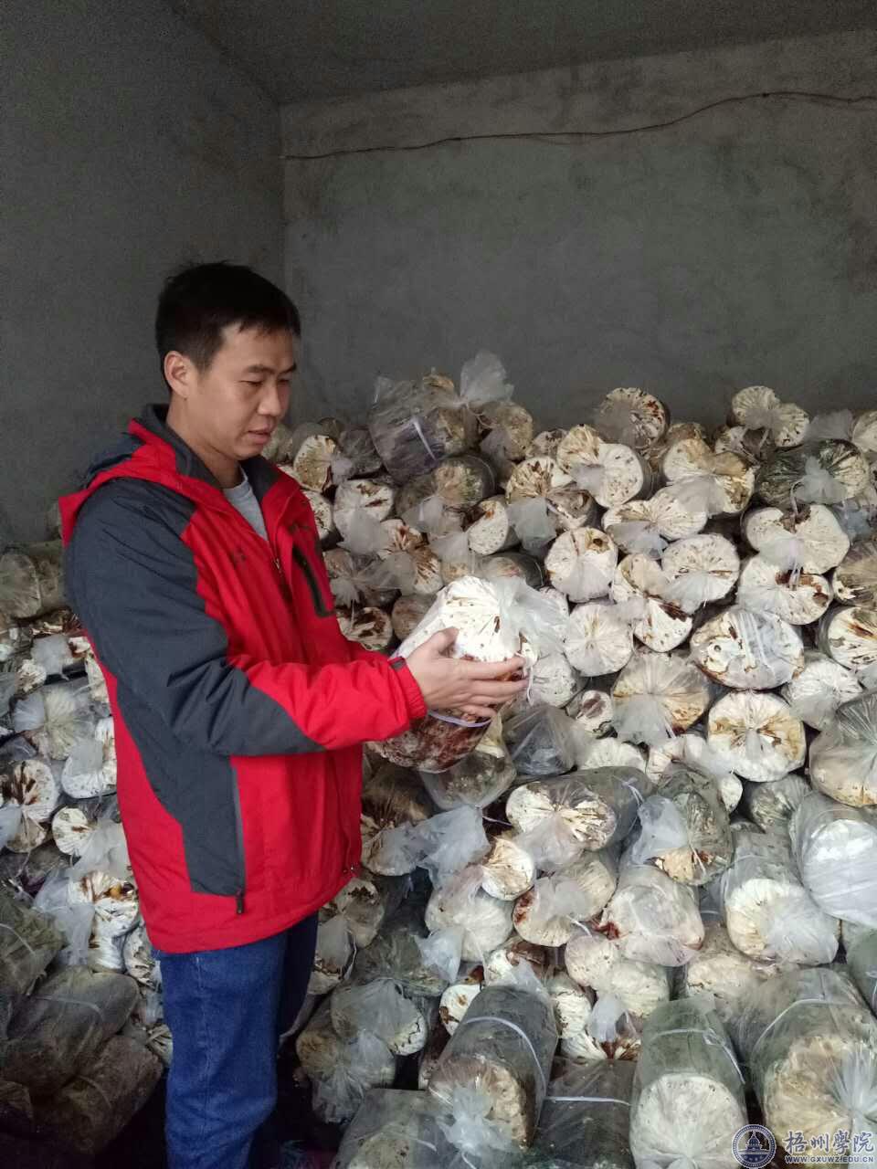 [学习身边榜样]在脱贫攻坚中历练成长——记商学院党委副书记黄焕克